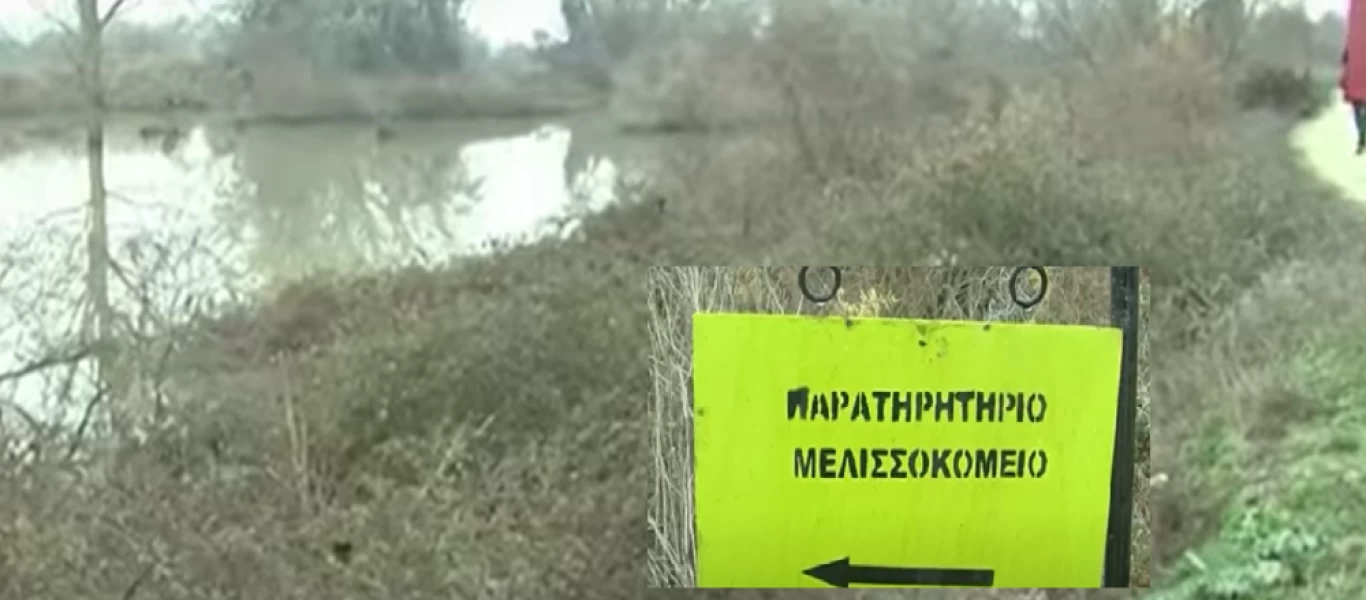 Έβρος: Προσαγωγή Βρετανού δημοσιογράφου που κινούνταν στην περιοχή των Φερών